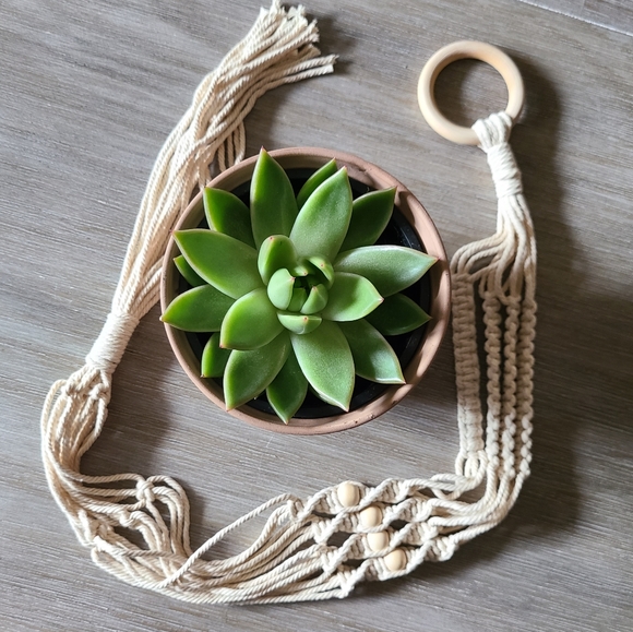 Macrame Plant Hanger / Plant Holder - Picture 2 of 6